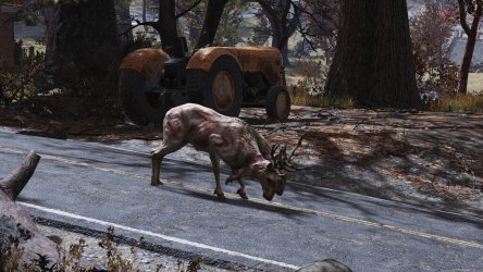 Олень в Fallout 76 ищет ценный лут