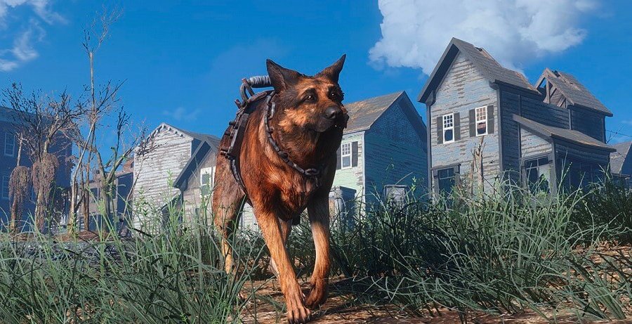 В Fallout 76 могут появиться домашние животные
